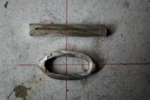 Ringe_2020-09-24_16:57